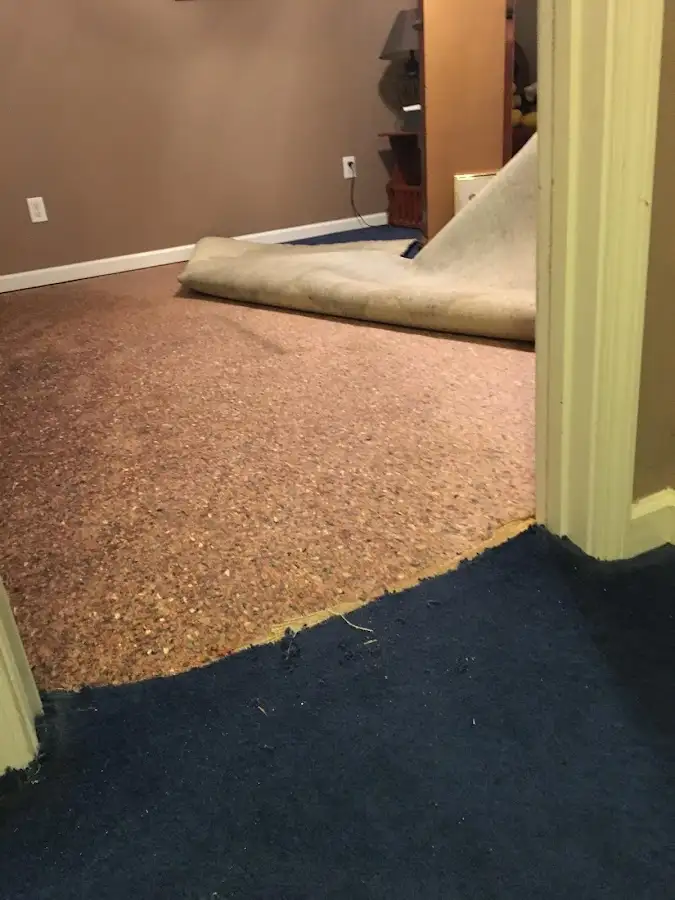 Carpet pad removal revealing water damage during Drying & Dehumidification in Collierville