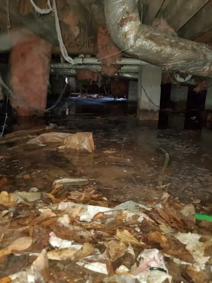 Crawl space flood assessment for Leak Detection & Repair in Collierville