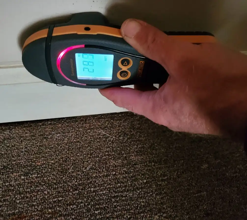 Moisture detection at baseboard during Sewage Cleanup & Sanitation in Collierville